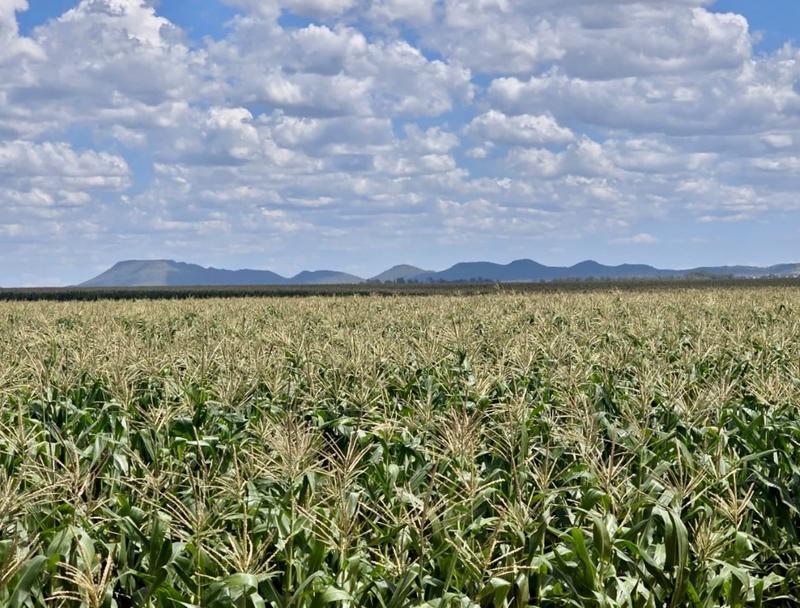 0 Bedroom Property for Sale in Bloemfontein Rural Free State